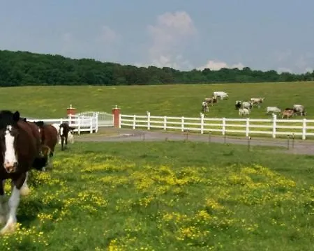 Glamping Lake-lodge // Dallas-southfork Ranch * Lenti