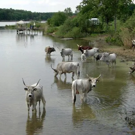 Glamping Lake-lodge // Dallas-southfork Ranch Campeggio *